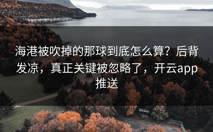 海港被吹掉的那球到底怎么算?后背发凉,真正关键被忽略了,开云app推送 海港被吹掉的那球到底怎么算?后背发凉,真正关键被忽略了,开云app推送